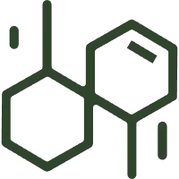 Polyester entièrement biodégradable